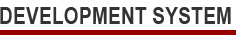 Development System