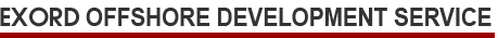Vitalify Offshore Development Service