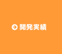 開発実績
