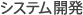 システム開発